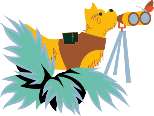 Toto exploring nature